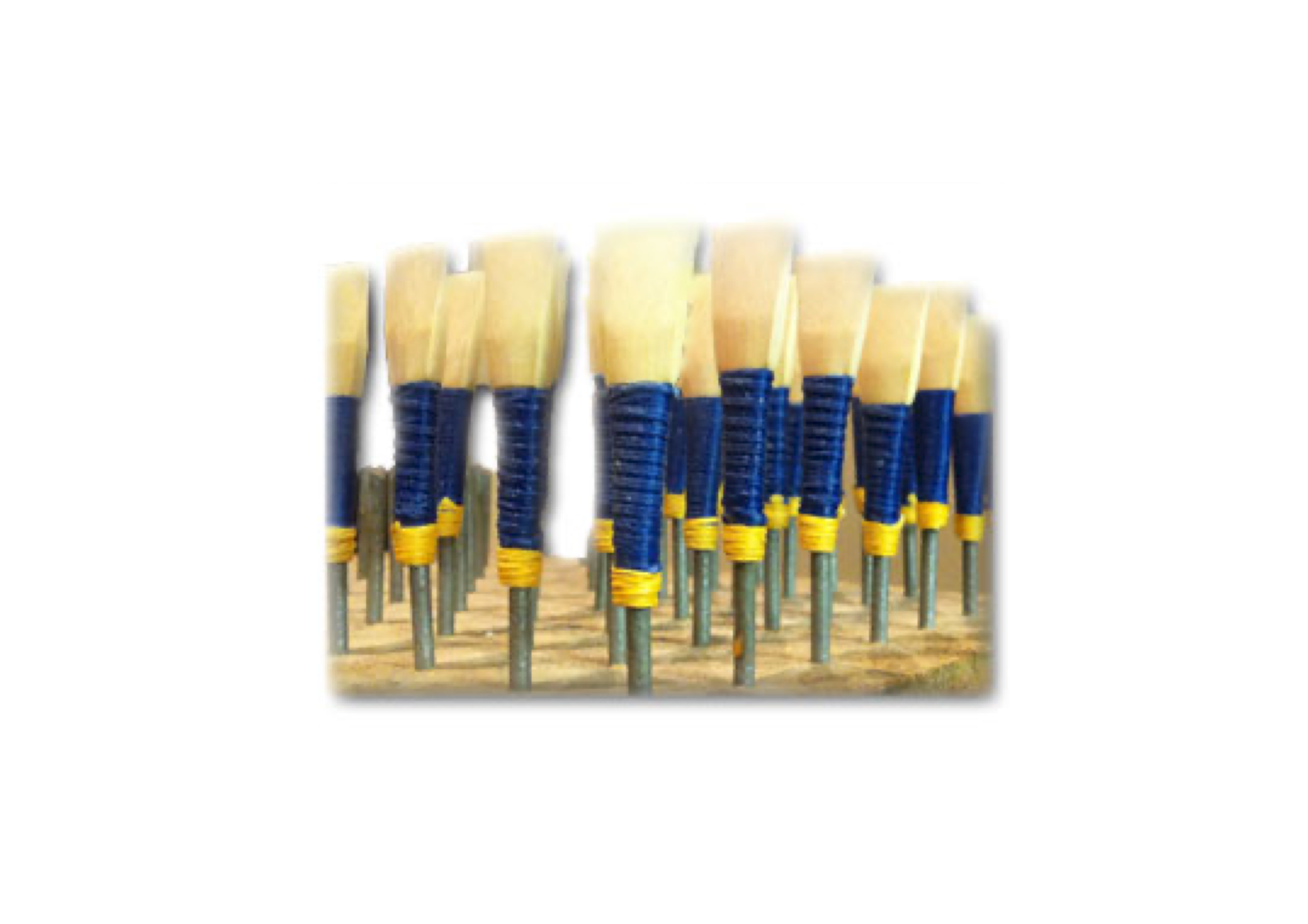 Lion Bagpipe Reeds Bagpipe Chanter Reeds – Bagpipes Galore